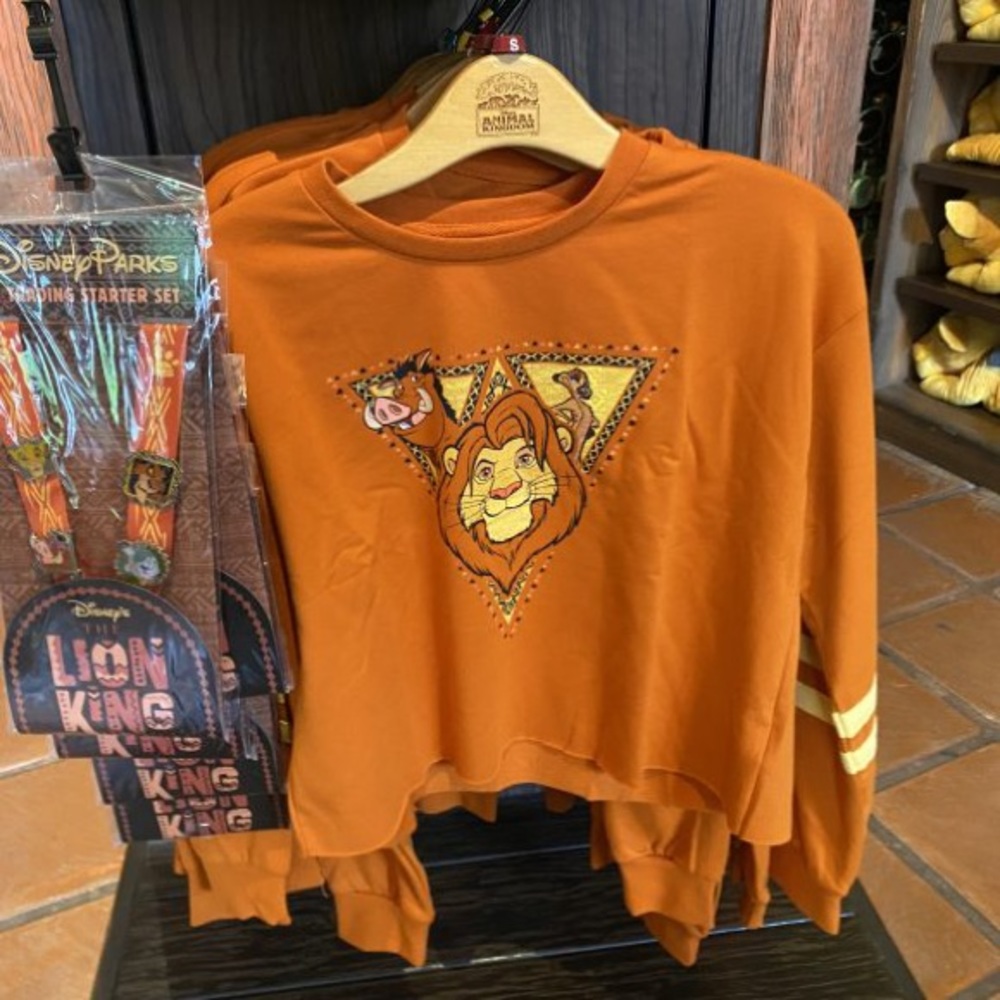 Disneys lion king cropped sweater